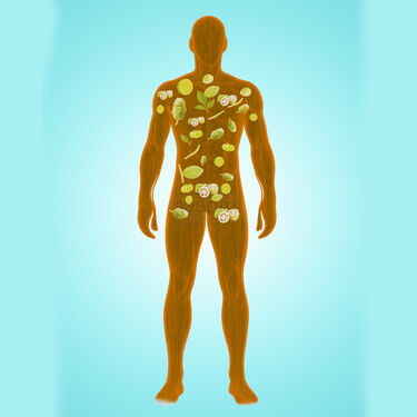 NONI Garcinia Kashyam 500 ML For Weight Management (NUTRA12)