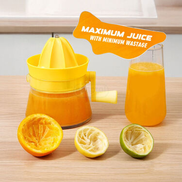 Handy Fruit Juicer (FJ17)