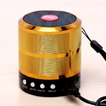 Metal Bluetooth Speaker (BLS15)