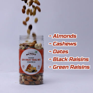 Nutraj Panchmeva -Dry Fruits Mix-500GM (NUTP)