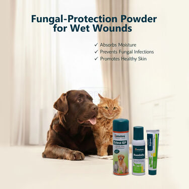 Himalaya Antibacterial Wound Care Combo For Dogs And Cat (PET2)