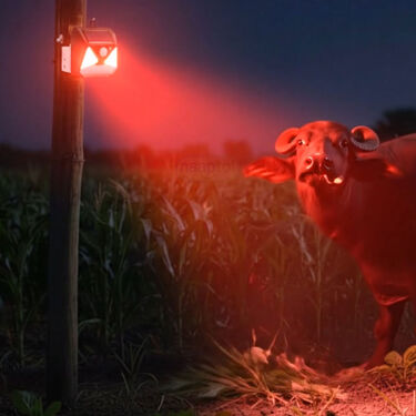 2 In 1 Solar Light With Animal Repellent Light (LL21)