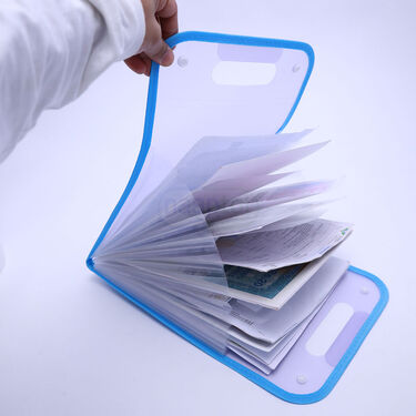 Portable Storage Document Organizer (FO)