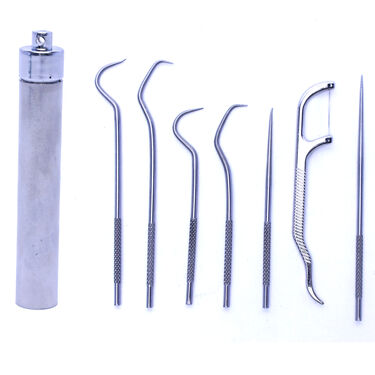 Portable Teeth Cleaning Picks Flosser (PTC)