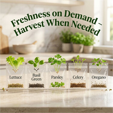 Pack of 5 Herb Seeds - Lettuce, Basil Green, Parsley, Celery, Oregano (GHS1)