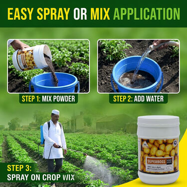 Potato Crop Special Multi Micronutrient Agro Fertilizer (AGR1)