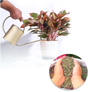 Pack Of Mix Flower Seeds (PFS100)