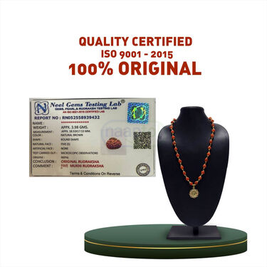 Rudraksh Mala With Shree Yantra Pendant (SYPRM2)