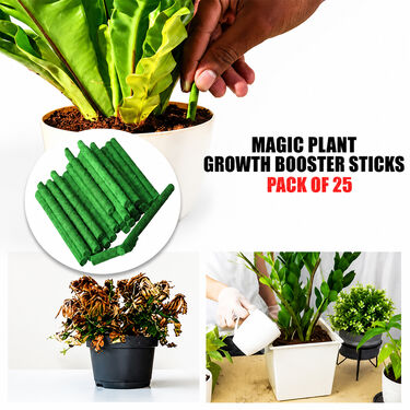 Plant Growth Booster Sticks Pack Of 25 (PFS)