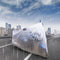 Transparent Bike And Scotty Cover (BKC4)