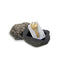 Key Stone Rock (KSR1)