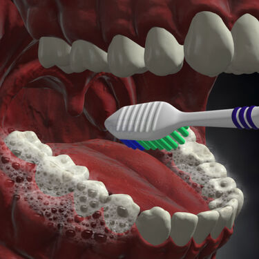 Charcoal Teeth Whitening Powder (ORC1)