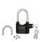 Dual Anti Theft Alarm Lock ( ATL2)