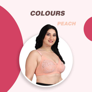 Pack Of 3 Full Coverage Daily Wear Bust Support Net Bra - Plus Size Only (3FCB2)