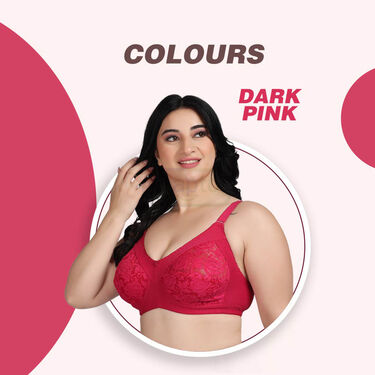 Pack Of 3 Full Coverage Daily Wear Bust Support Net Bra - Plus Size Only (3FCB2)