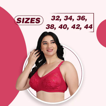 Pack Of 3 Full Coverage Daily Wear Bust Support Net Bra - Plus Size Only (3FCB2)