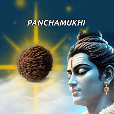 Golden 5 Mukhi Rudraksh Mala With Trishul Damru Pendant + Rudraksh  Bracelet (5RMRB2)