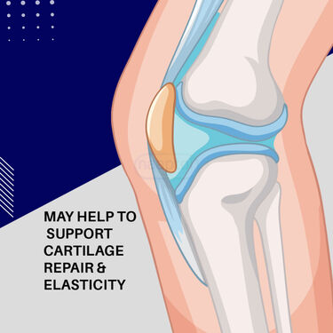 Knee Joint Comfort & Flexibility Drink Pack of 10 - (NUTRA14)