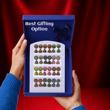 12 Golden Colourful Jhumaka Earrings (12JE)