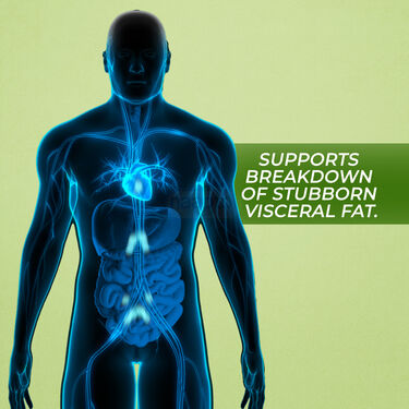 NONI Garcinia Kashyam 500 ML For Weight Management (NUTRA12)