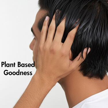 Anti Dandruff Natural Scalp Purifying Shampoo (HRC1)