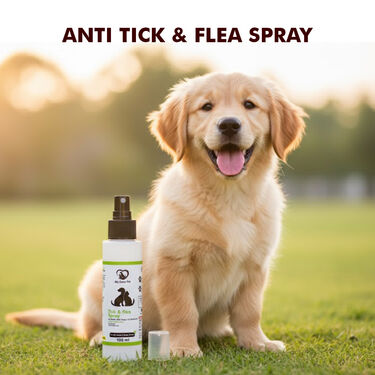 Anti-Tick & Flea Spray For Pets (PET1)