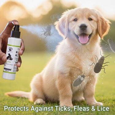 Anti-Tick & Flea Spray For Pets (PET1)