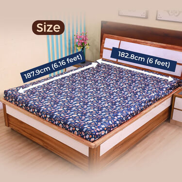 Waterproof Printed Double Bed Mattress Protector Sheet (DMP11)