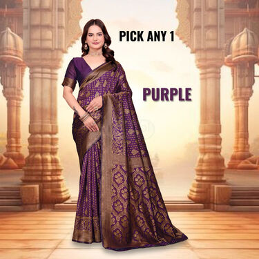 Royal Banarasi Inspired Elegant Sarees - Pick Any 1 (RBIS2)