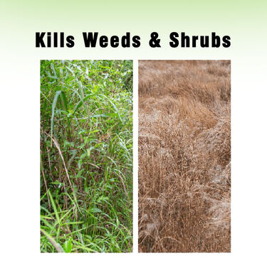 Herbicide Weed Killer Granules
