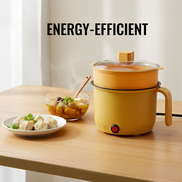 Multipurpose Electric Cooking Pot With Steamer (EFM13)
