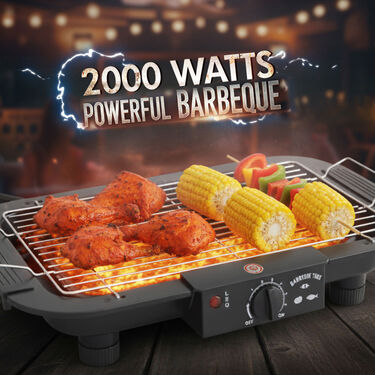 2000W Electric Smokeless BBQ Grill (EFM15)