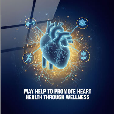 Ayurvedic Chyawanprash For Healthy Heart 350g (NUTRA21)