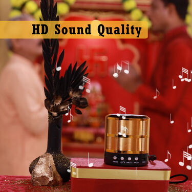 Metal Bluetooth Speaker (BLS15)