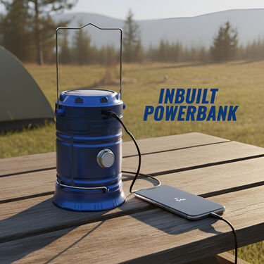 Solar light Lamp (LL13)