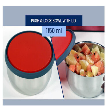 10 Pcs Steel Push & Lock Bowl Set (10PL1N)