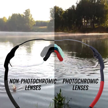 Day & Night Vision Photochromatic Goggles (NVPG)