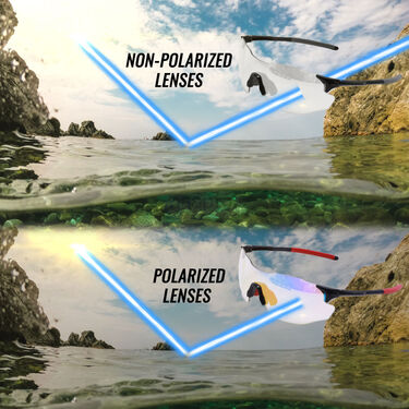 Day & Night Vision Photochromatic Goggles (NVPG)