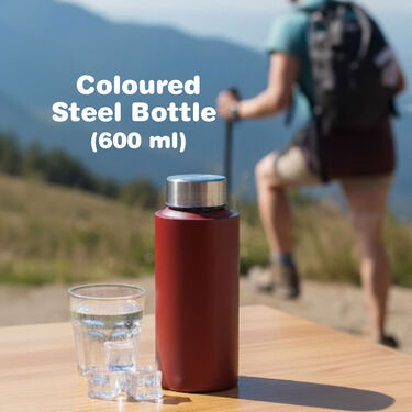 3 Leakproof Lunch Box + Salad Container With Colored Steel Bottle & Bag (3LBB1)