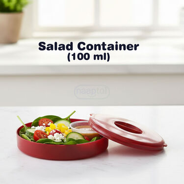 3 Leakproof Lunch Box + Salad Container With Colored Steel Bottle & Bag (3LBB1)