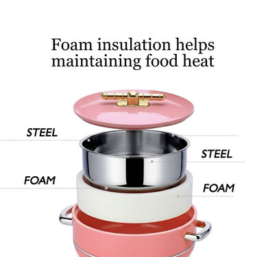 Set of 2 Designer Big Insulated Casserole (2DIC1)