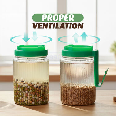 Sprouts Maker Jar - Buy 1 Get 1 (2SMJ1)