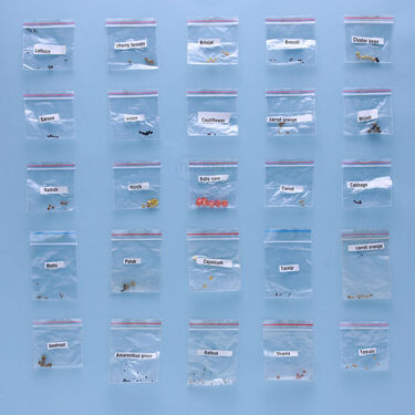 Pack of 25 Native Vegetable Seeds For Home Garden (VEG2)