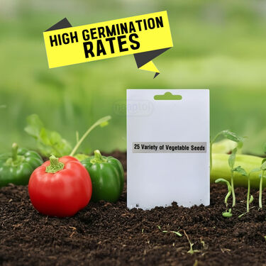 Pack of 25 Native Vegetable Seeds For Home Garden (VEG2)