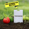 Pack of 25 Native Vegetable Seeds For Home Garden (VEG2)