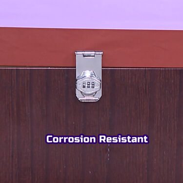 Password Cabinet Lock (AHS4)