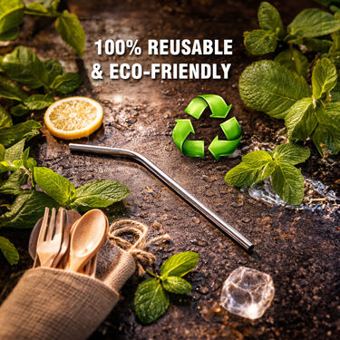 4 Pcs Stainless Steel Straw (COS3)