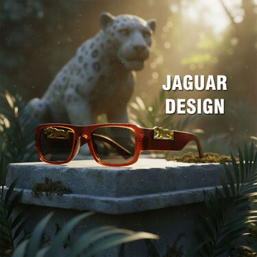 Trendy Sunglasses B1G1 Free (2SG7)