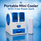 Mini Portable Cooler With Powerbank (CF1)