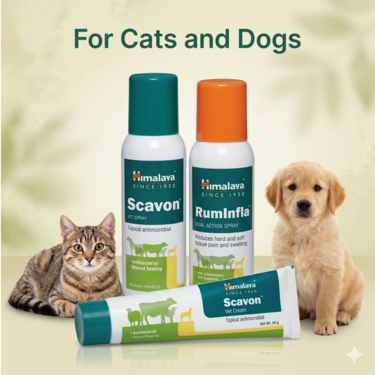 Pet Skin Care Support Combo For Dogs Cats & Vet (PETC4)